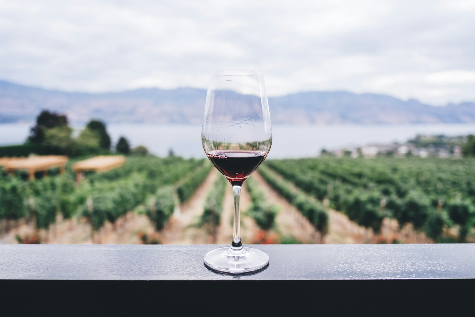 Glass of red wine on a railing above a vineyard
