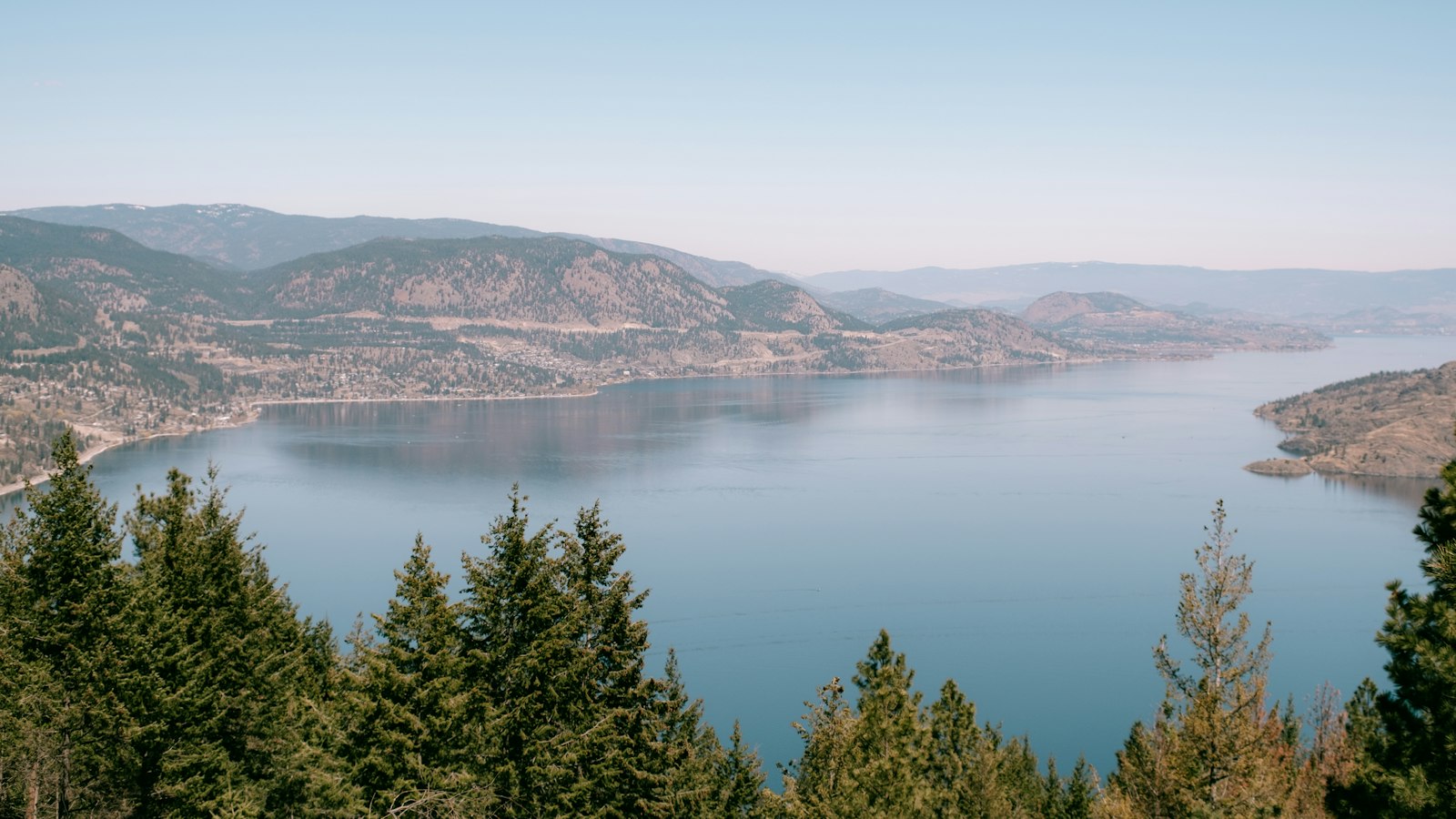 Okanagan Lake seen through pine trees