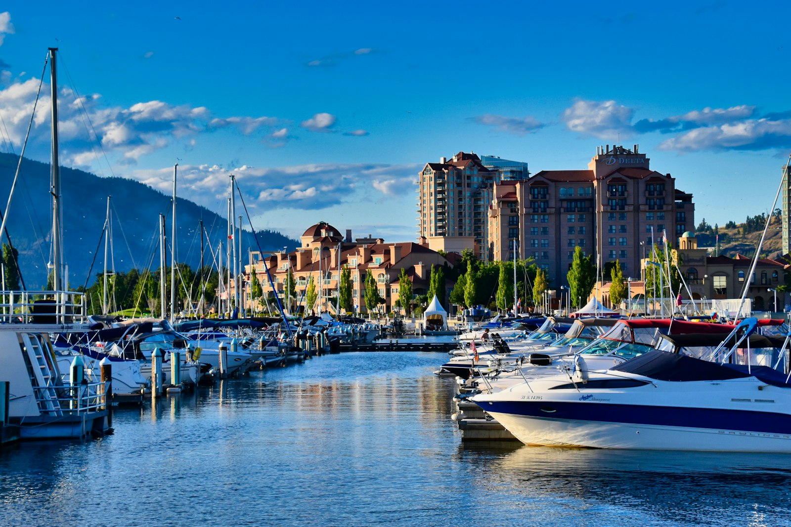 Boats in a marina with mountains behind
